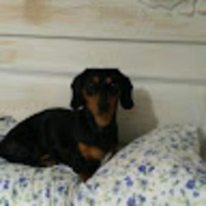 Meet your Posher, Toni